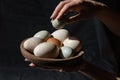 Araucana eggs and goose eggs on a wooden plate