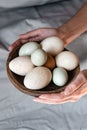 Araucana eggs and goose eggs on a wooden plate