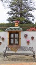 Araucaria-Torremolinos -Botanic gardens-Molino del Inca-Andalusia