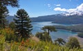 Araucarias against the background of the lake and mountains covered with snow Royalty Free Stock Photo