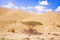 Arava desert Royalty Free Stock Photo
