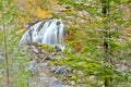 Arazas River, Ordesa Valley, Ordesa y Monte Perdido National Park, UNESCO Biosphere Reserve of Ordesa-ViÃÂ±amala