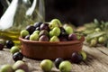 Arbequina olives from Catalonia, Spain Royalty Free Stock Photo