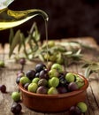 Arbequina olives from Spain Royalty Free Stock Photo