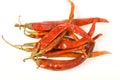 Arbol Chiles Royalty Free Stock Photo