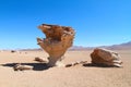 Arbol de piedra, Bolivia Royalty Free Stock Photo