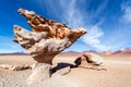 Arbol de Piedra in Bolivia Royalty Free Stock Photo