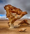 Arbol de Piedra, Siloli desert - Bolivia Royalty Free Stock Photo