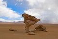 Arbol de piedra, stone tree