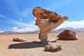 Arbol de Piedra or stone tree on Altiplano Royalty Free Stock Photo