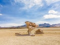 Arbol de Piedra (tree of rock), the famous stone tree rock formation created by wind, in the Siloli desert in Bolivia Royalty Free Stock Photo