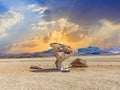 Arbol de Piedra (tree of rock), the famous stone tree rock formation created by wind, in the Siloli desert in Bolivia Royalty Free Stock Photo