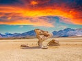 Arbol de Piedra (tree of rock), the famous stone tree rock formation created by wind, in the Siloli desert in Bolivia Royalty Free Stock Photo