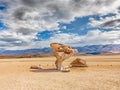 Arbol de Piedra (tree of rock), the famous stone tree rock formation created by wind, in the Siloli desert in Bolivia Royalty Free Stock Photo