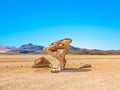 Arbol de Piedra (tree of rock), the famous stone tree rock formation created by wind, in the Siloli desert in Bolivia Royalty Free Stock Photo
