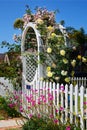 Arbor with Beautiful Flowers