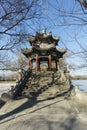 Arbor of the bridge