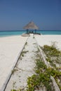 Arbor on Maldives beach Royalty Free Stock Photo