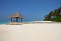 Arbor on Maldives beach Royalty Free Stock Photo