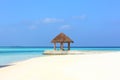 Arbor on Maldives beach Royalty Free Stock Photo