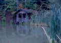 Arbor with reflection in the water on the background of the forest Royalty Free Stock Photo