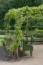 Arbor shading garden benches