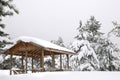 Arbor In Snowy Winter Forest