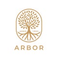 Arbor tree of life icon