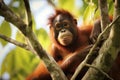 Arboreal Orangutans animals nature. Generate Ai