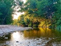 Arborescent lit shore