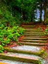 Old Rural garden staircase steps Royalty Free Stock Photo