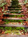 Old garden stair steps