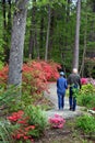 Arboretum Atmosphere for Walking Couple Royalty Free Stock Photo