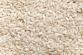 Arborio rice Royalty Free Stock Photo