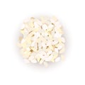 Arborio rice grains. Vector illustration. For culinary, cafe, Royalty Free Stock Photo