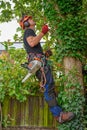 Arborist with chainsaw and safety harness Royalty Free Stock Photo