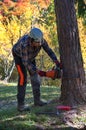 Arborist cutting a tree