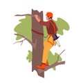 Arborist in helmet climbing tree with chainsaw, climber worker cutting branches with saw