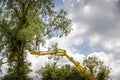 Unidentified arborist man in the air on yellow elevator, basket with controls, cutting off dead cherry tree Royalty Free Stock Photo