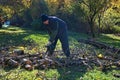 Arborist man cutting a branches Royalty Free Stock Photo