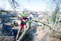 Arborist man cutting a branches with chainsaw and throw on a ground. The worker with helmet working at height on the trees. Lumber Royalty Free Stock Photo