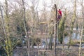 Arborist man cutting a branches of tree and throw on a ground. Tree and nature concept. Royalty Free Stock Photo