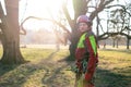 Arborist men standing against two big trees. The worker with helmet working at height on the trees. Lumberjack working with ch