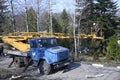 Arborists cut branches of a tree using truck-mounted lift