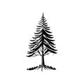 Arborvitae Icon hand draw black colour tree day logo symbol perfect