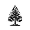 Arborvitae Icon hand draw black colour tree day logo symbol perfect