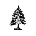 Arborvitae Icon hand draw black colour tree day logo symbol perfect