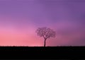 At dawn, the sun rises over a countryside landscape with a single tree as a backdrop. Royalty Free Stock Photo