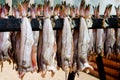 Arbroath Smokies Royalty Free Stock Photo