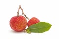 Arbutus fruit